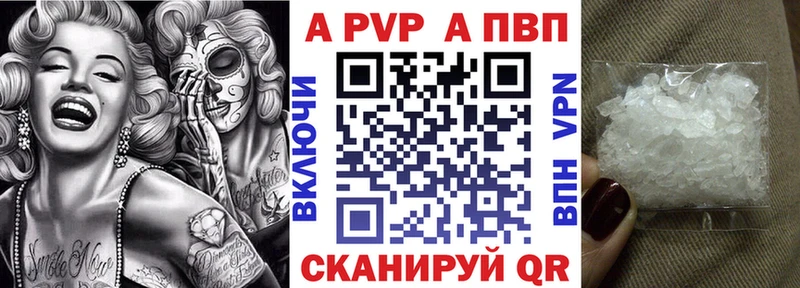 А ПВП СК Сольвычегодск