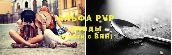крисы Осташков
