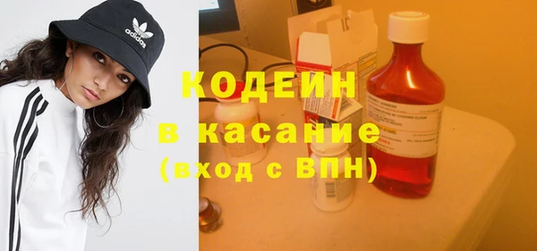 шишки Пестово