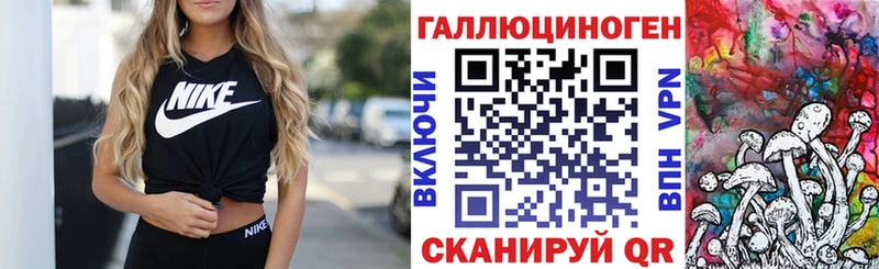 Псилоцибиновые грибы Psilocybe  Сольвычегодск 